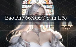 bao phê 66xoso sâm lốc