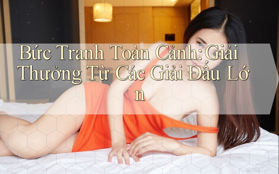 Bức Tranh Toàn Cảnh: Giải Thưởng Từ Các Giải Đấu Lớn Bức Tranh Toàn Cảnh: Giải Thưởng Từ Các Giải Đấu Lớn