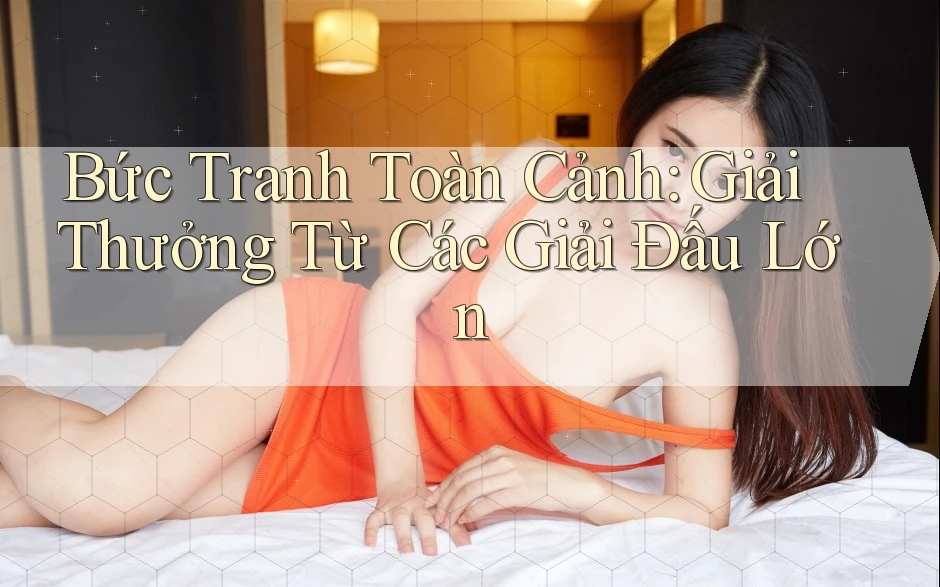 Bức Tranh Toàn Cảnh: Giải Thưởng Từ Các Giải Đấu Lớn Bức Tranh Toàn Cảnh: Giải Thưởng Từ Các Giải Đấu Lớn