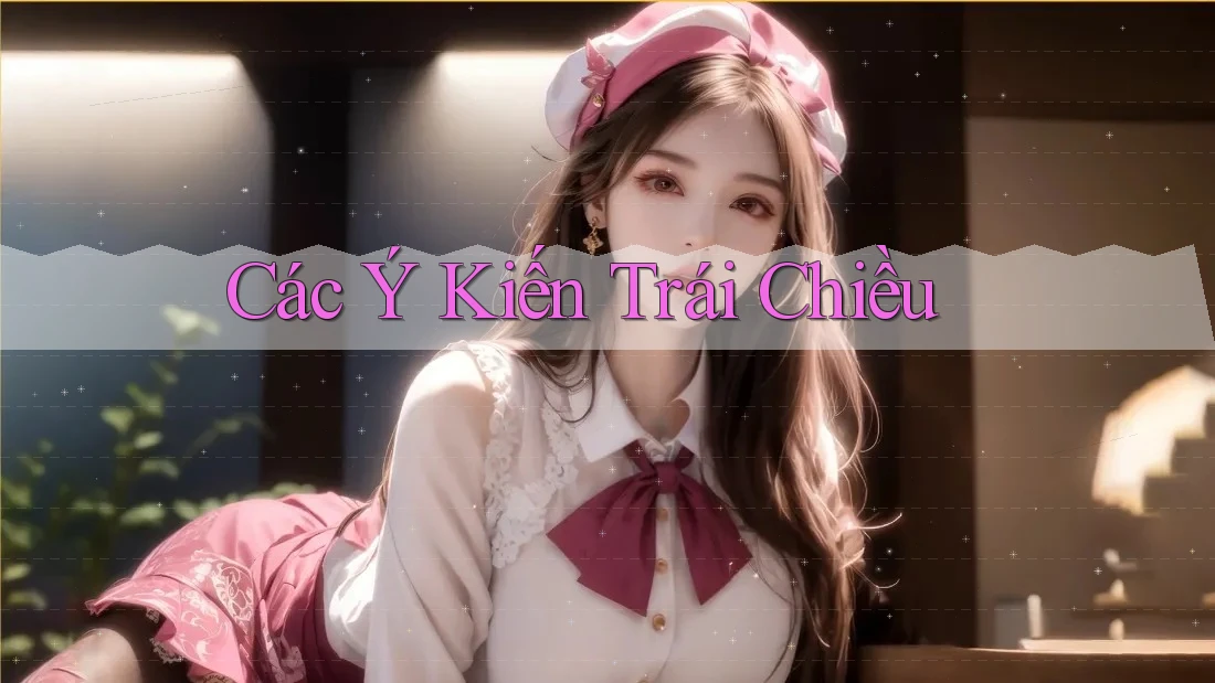 Các Ý Kiến Trái Chiều Các Ý Kiến Trái Chiều