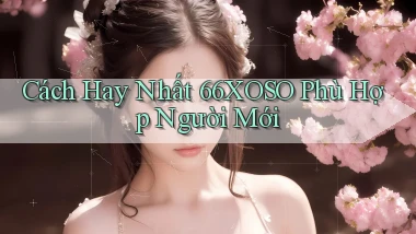 cách hay nhất 66xoso phù hợp người mới