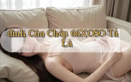 đỉnh của chóp 66xoso tá lả