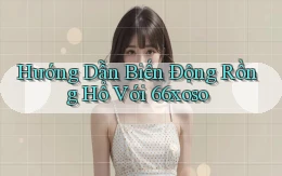 hướng dẫn biến động rồng hổ với 66xoso