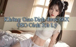 không giao dịch được 66xoso cách xử lý