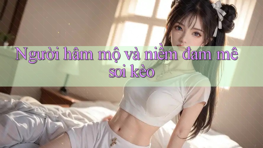 Người hâm mộ và niềm đam mê soi kèo Người hâm mộ và niềm đam mê soi kèo