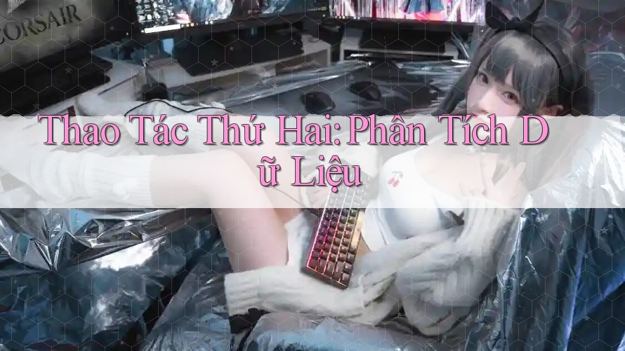 Thao Tác Thứ Hai: Phân Tích Dữ Liệu